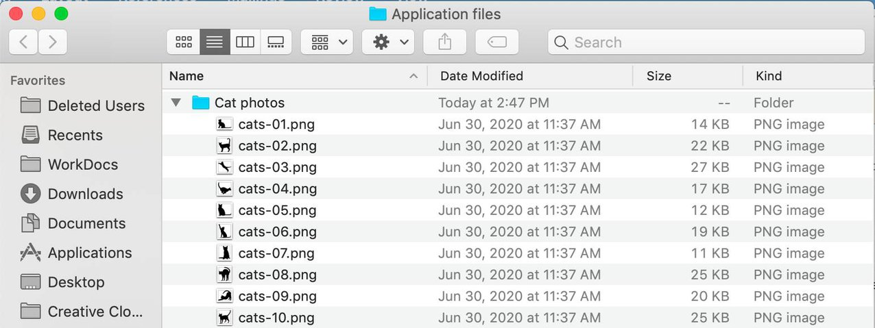 Screenshot of Application files with 10 cat photos